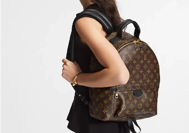 کیف پالم اسپرینگ (Palm Springs Backpack)